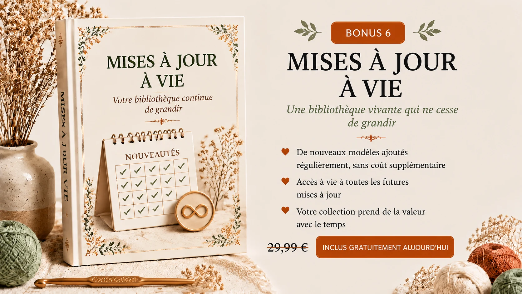 Bonus 6 : Mises à jour à vie